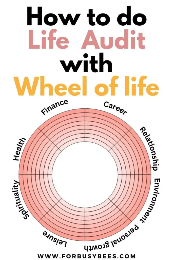 Life audit wheel