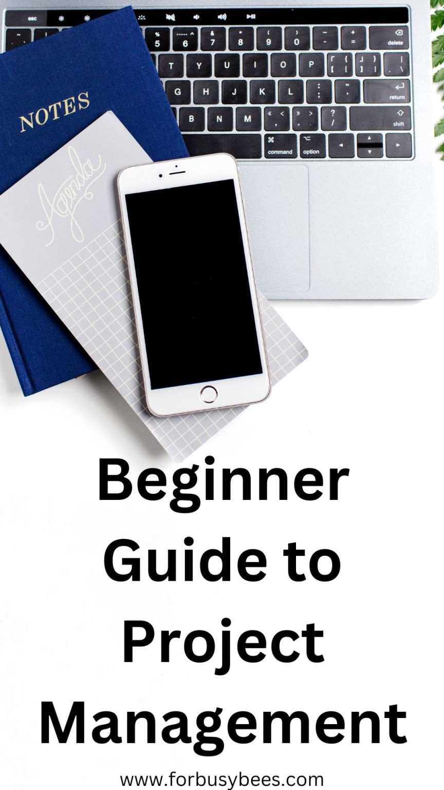 Beginners Guide to Project Management - For Busy Bee's